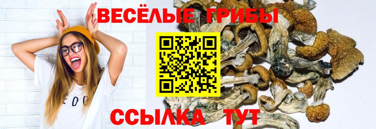Псилоцибиновые грибы Cubensis  Псилоцибиновые грибы GOLDEN TEACHER  Вход с VPN  Грозный 