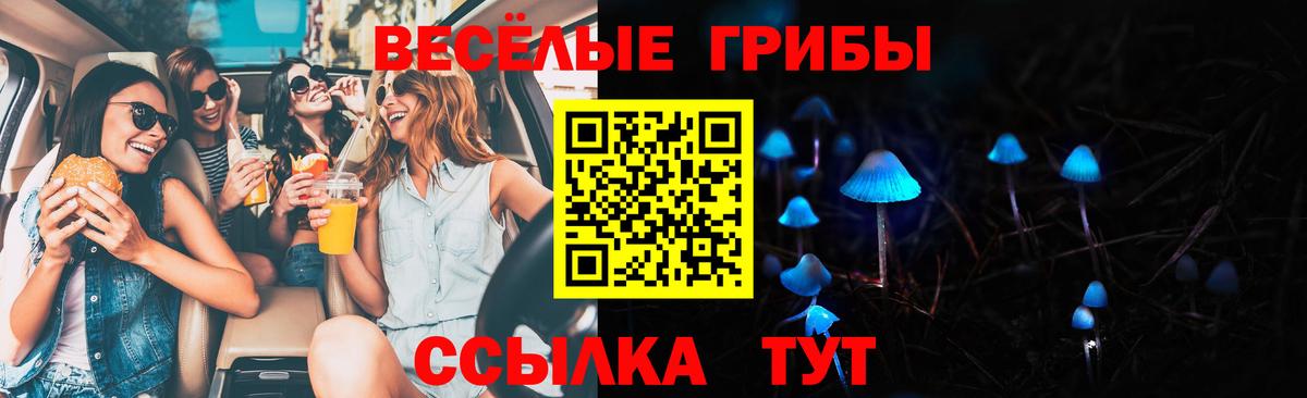 Галлюциногенные грибы ЛСД Грозный